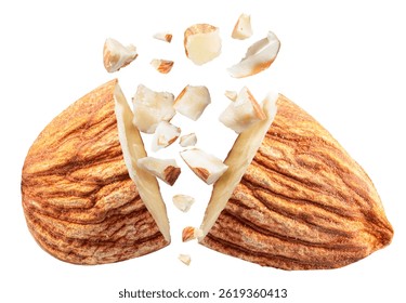 Almond nut cracked in half and almond pieces flying away from it, isolated on white background. File contains clipping path.