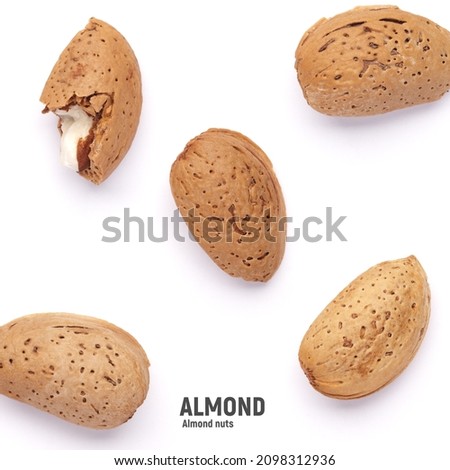 Almond nut with shell isolated on white background