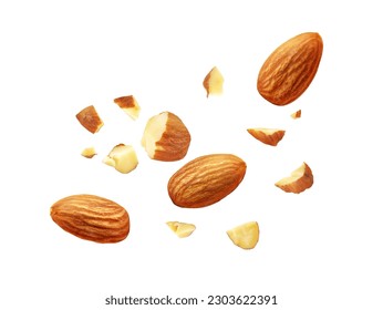 Almond nuts isolated on white background. Almond fly. Full depth of field. Close up view.