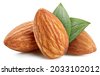 almond leaf
