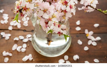 Almond tree twig blooming, blossoms and fresh green leaves, close up view. Springtime seasonal natural decoration, bouquet in a vase, wood table background, high angle view