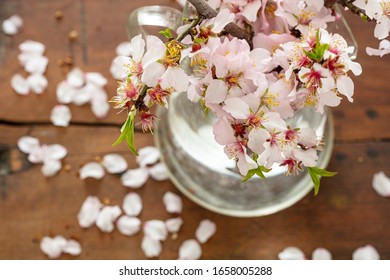 Almond tree twig blooming, flowers and fresh green leaves, close up view. Springtime seasonal natural decoration, bouquet in a vase, wood table background, high angle view
