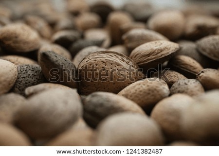 Similar – Dried poppy seed capsules on an old metal plate