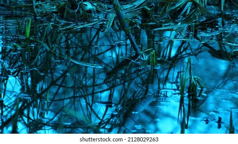 Almost abstract presentation of small pond and grass in t.