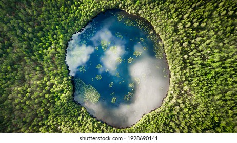 An almost perfect circular lake shot straight down from the air resembles the earth surrounded by a pine forest - Shutterstock ID 1928690141