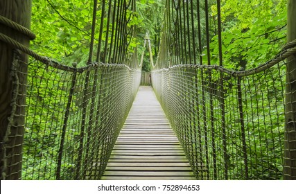 Alnwick wooden Treehouse, wooden and rope bridge, Alnwick Garden,  in the English county of Northumberland, UK