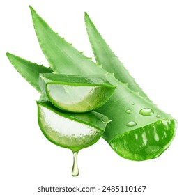 Aloe gel dropping from fresh cut of aloe vera leaf , macro shot  on white background. File contains clipping path.