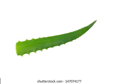 Aloe Leaf On White Background