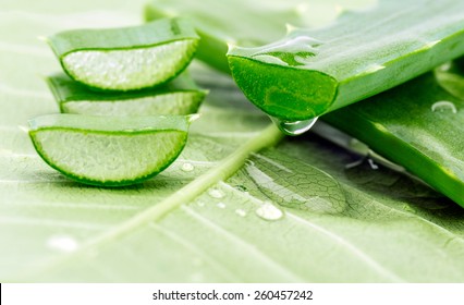 Aloe Sliced On A Green Background