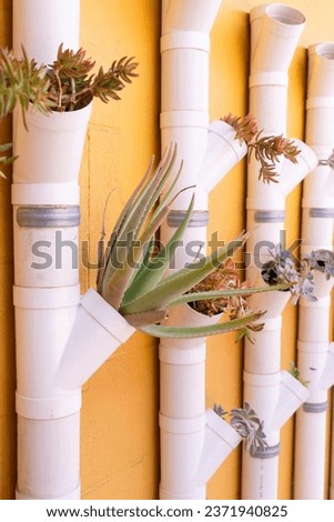 aloe and succulents in a vertical garden made with PVC pipes
