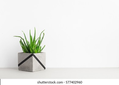 Minimalist Home Decor With Plants Stock Photos Images
