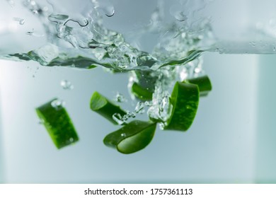 
Aloe Vera Falls In The Water.