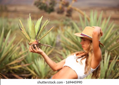 Aloe vera field; Furteventura, Canary Islands, Spain with girl in cowboy hat