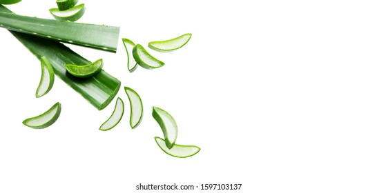 Aloe vera fresh leaf isolated on white background with copy space. Green fresh layout for ad products with aloe vera.