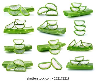 Aloe Vera Fresh Leaf Isolated On White