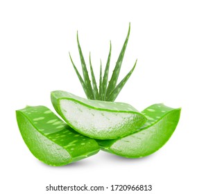 Aloe vera fresh leaves with slices on white background. full depth of field 