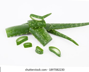 Aloe vera fresh wet leaves and slices on white background 