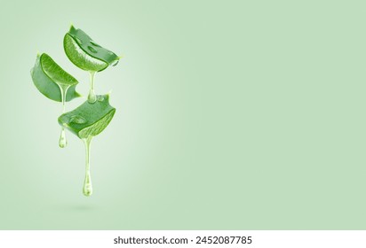 Aloe vera gel dripping from sliced leaves isolated on green background. Copy space.