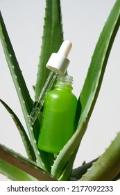 Aloe Vera Gel In A Glass Green Jar With A Pipette On A Natural Aloe Plant. Vertical Image.