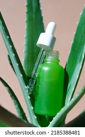 Aloe Vera Gel In A Glass Green Jar With A Pipette On A Natural Aloe Plant. Vertical Image.