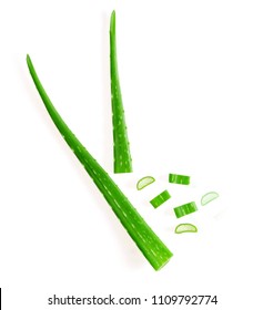 Aloe Vera Isolated On White Background Top View