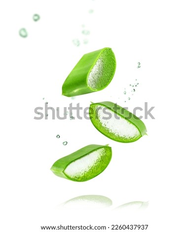 Aloe Vera isolated on white background. Leaf of Aloe Vera plant and drops of juice or gel.