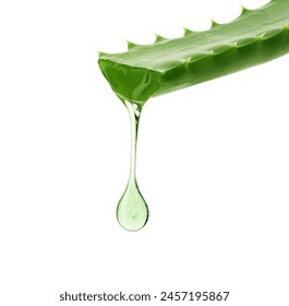 Aloe vera leaf with juice on white background