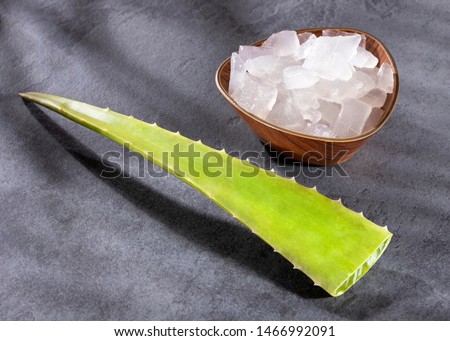 aloe vera leaf - Text space