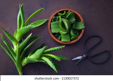 Aloe Vera auf dunklem Hintergrund - alternative Medizin