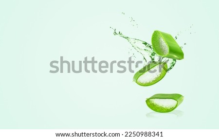 Aloe Vera on green background. Leaf of Aloe Vera plant and splash of juice or gel. Natural essence for herbal beauty products, cosmetology, dermatology, naturopathic medicine.