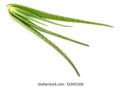 Aloe Vera On White Background