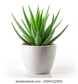 Aloe vera plant in a sleek white pot centered on a plain white background  - Powered by Shutterstock