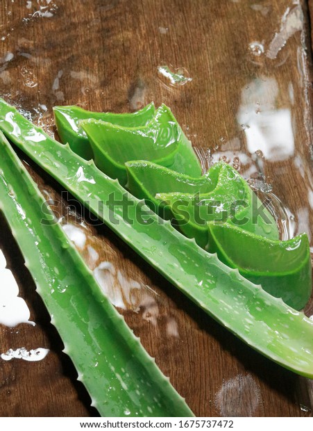 Aloe vera is planted in car tires, aloe vera\
helps to heal wounds and reduce\
pain.
