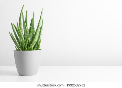 Aloe vera in pot on white table. Front view. Place for text, copy space, mockup - Shutterstock ID 1932582932
