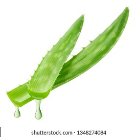 Aloe vera, slice, isolated on white background, clipping path, full depth of field
