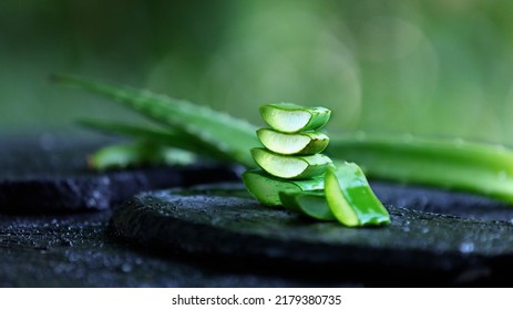 Aloe Vera Slices with Greenery and Placed on dark surface. a composition for Aloevera product design like cosmetics, Ayurveda, medical healthcare, beauty products. Aloe barbadensis miller