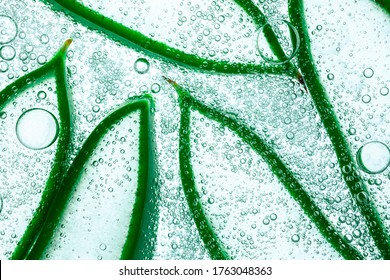 Aloe vera textured slices with sparking water or gel on white background