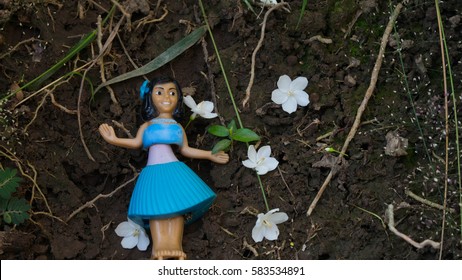  Aloha Doll Hula Girl Hawaii ,Hawaiian Doll,Girl,Background With Nature 