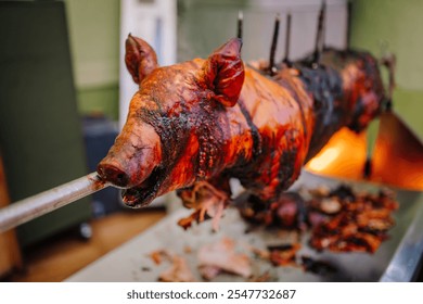 Aloja, Latvia - November 16, 2024 -  A roasted pig on a spit with golden-brown crispy skin, cooked to perfection, with meat and scraps on a tray. - Powered by Shutterstock