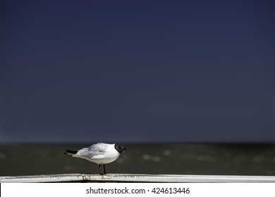 alone