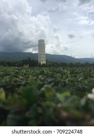 alone