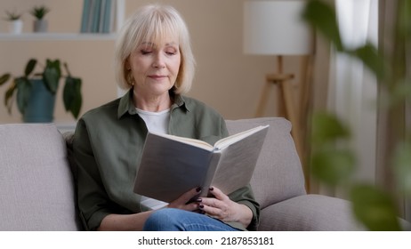 Alone Caucasian 50s Lady Caucasian Old Woman Mature Lady Senior Grandmother Professor Teacher Sitting On Sofa Resting Studying Education Relaxing At Home Reading Book Enjoying Literature Learning