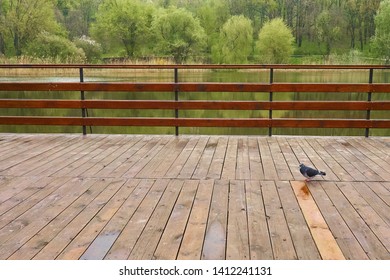 Alone dove stands on the right of the wooden platform near the lake. Idyllic view of the wooden pier in the lake scenery background. - Shutterstock ID 1412241131