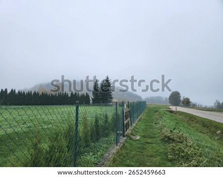 Alone in a foreign land, missing and yearning to return home.