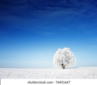 Alone frozen tree on winter field and blue sky with rare clouds - Powered by Shutterstock