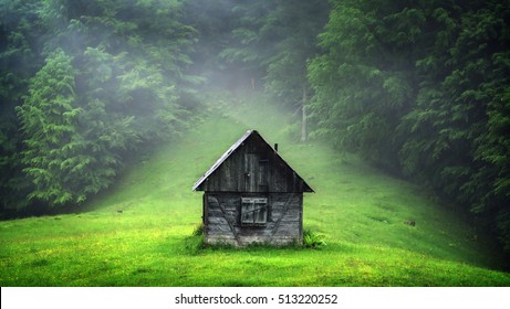 Alone House In The Woods