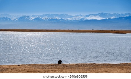 alone human silhouette sitting on the beach of blue calm water in Issyk-Kul lake with mountains on background at autumn afternoon. - Powered by Shutterstock