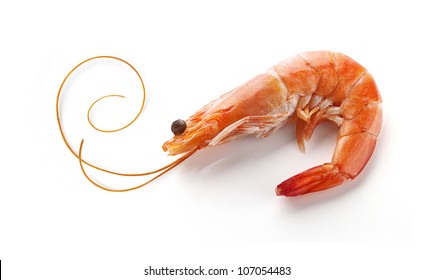 Alone isolated hot-water shrimp with the whisker on the white