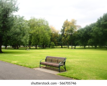 Alone in the park