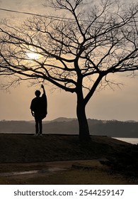 Alone sunset tree riverbed shadow